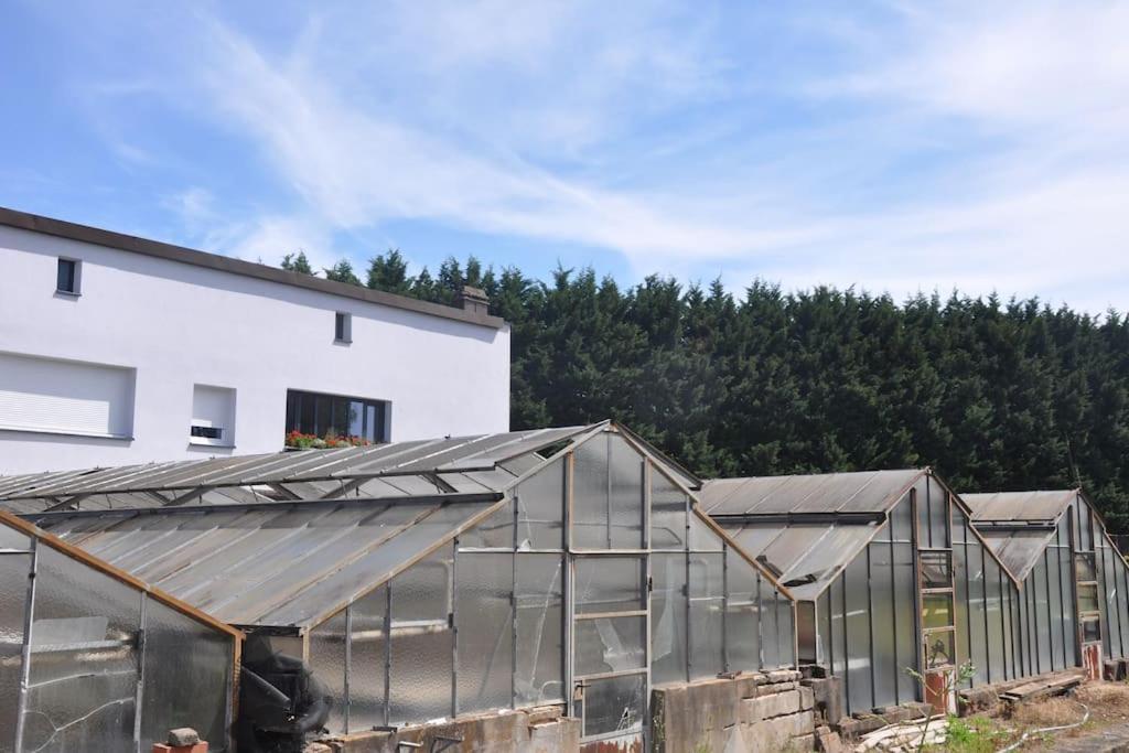 Appart St Nicolas: ancien corps de ferme horticole Freyming-Merlebach Exterior foto