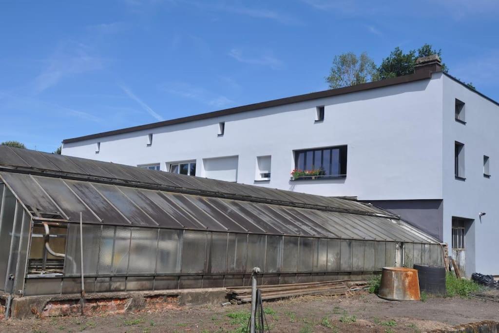 Appart St Nicolas: ancien corps de ferme horticole Freyming-Merlebach Exterior foto
