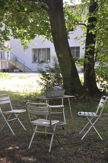 Appart St Nicolas: ancien corps de ferme horticole Freyming-Merlebach Exterior foto